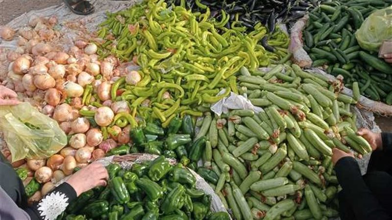 أسعار اليوم