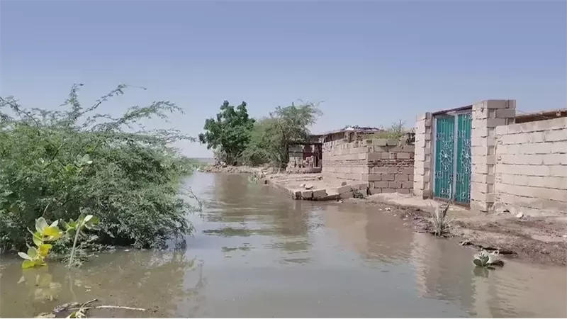 عمرو الجزار يُحذر