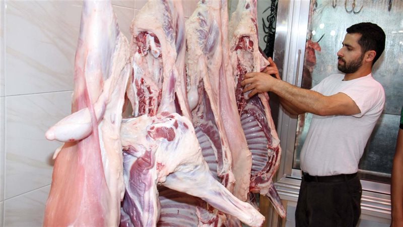 أسعار اللحوم الحمراء