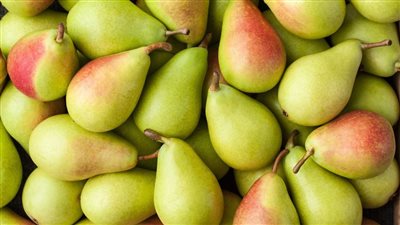 للحوامل وغيرهم تناولوا الكمثرى باستمرار لتعزيز مناعتك وطرد كل سموم الجسم