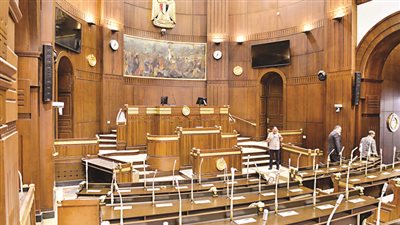 أميرة  تاوضروس من ضمن  12 سيدة بمجلس الشيوخ 2025 قام الرئيس السيسى بتعيينهم