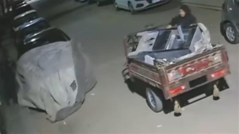 النباشون