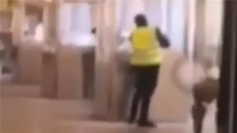 سرقة متحف اللوفر