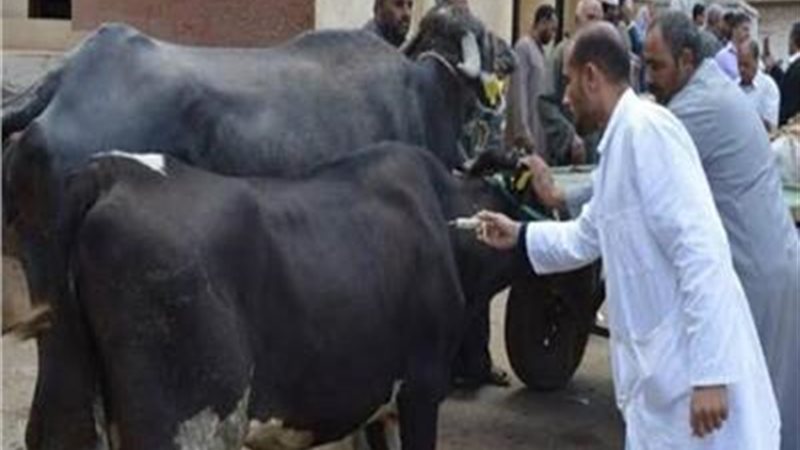 بيان وزارة الزراعة