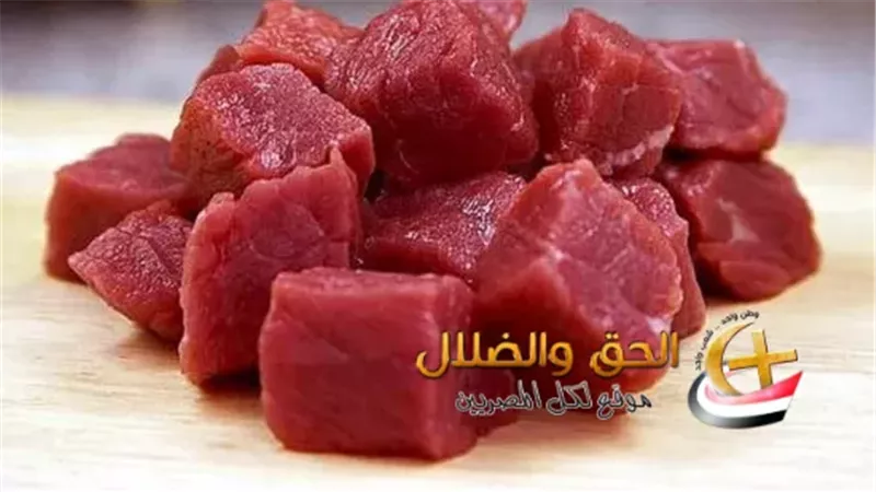 تعليمات وتوجيهات