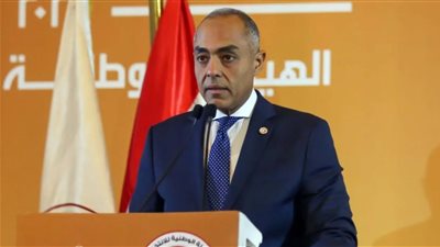 المستشار أحمد البنداري 