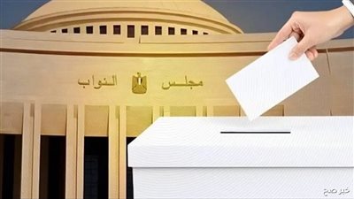إلغاء انتخابات مجلس النواب في ١٩ دائرة وإعلان قائمة الدوائر ومواعيد الإعادة