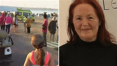 واقعة هجوم القرش في سهل حشيش 