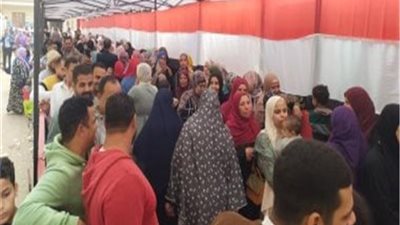 مرشح برلماني يمزق ملابسه أمام لجنة انتخابات النواب بشبين الكوم وسط إجراءات صارمة ضد أي مخالفات