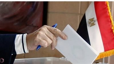 المحكمة الإدارية العليا: إلغاء الانتخابات في عدد من الدوائر 