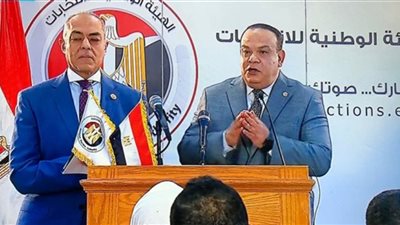 إعادة التصويت في الثلاثين دائرة الملغاة بعد حكم الإدارية 