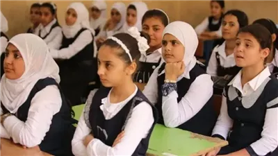 تعطيل الدراسة بالمدارس المستخدمة كلجان 