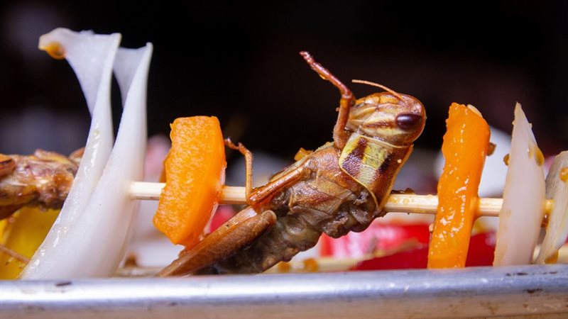 واقعة وجود حشرات