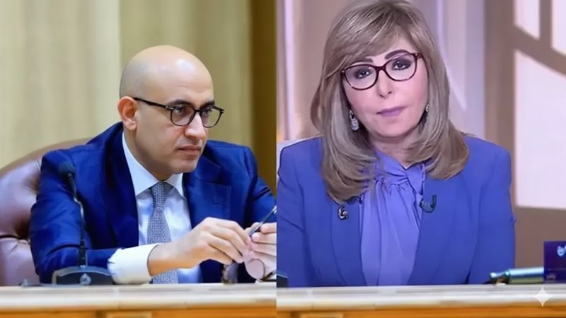 لميس الحديدي - وزير