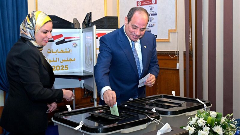 الرئيس السيسي يدلي