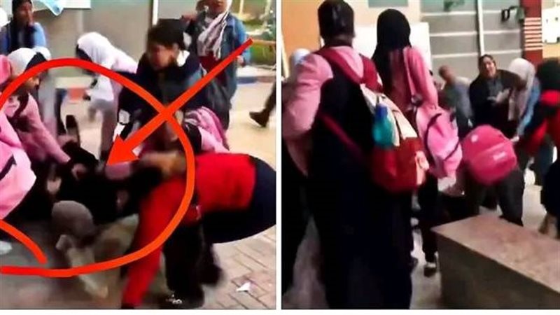 فيديو مدرسة الشهداء