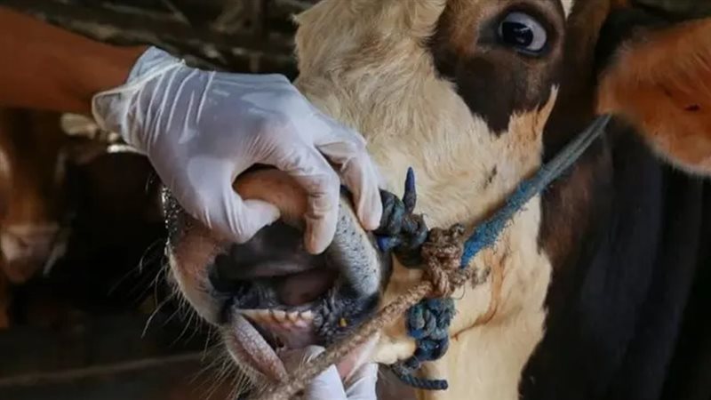 الحكومة ترد على شائعة