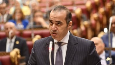 وزير الشئون النيابية 