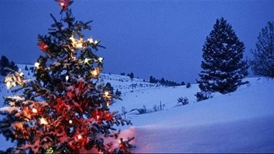 طقس عيد الميلاد المجيد 