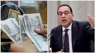 قرارات الحكومة بشهر يناير 