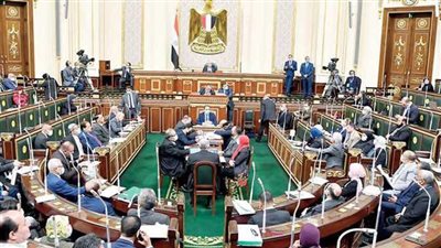 تعيينات البرلمان 