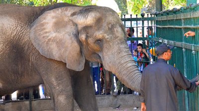 الاسم التاريخي لحديقة الحيوان 