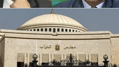 مجلس النواب 