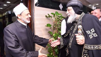 تصريحات شيخ الأزهر 