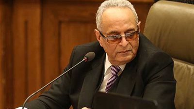 بهاء أبو شقة 