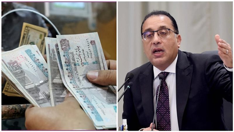 قرارات الحكومة بشهر