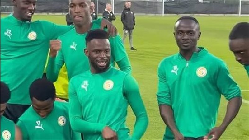 الرد المصري على فيديو