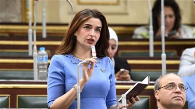 النائبة إيرين سعيد 