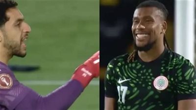 مصطفى شوبير 