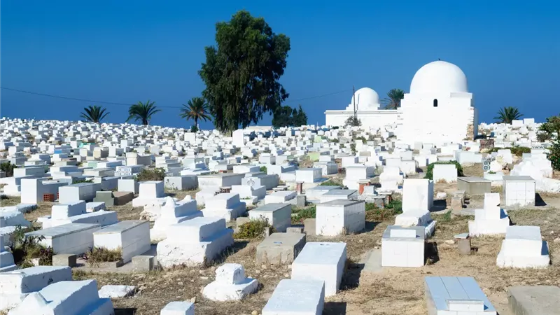 . القبض على صاحب