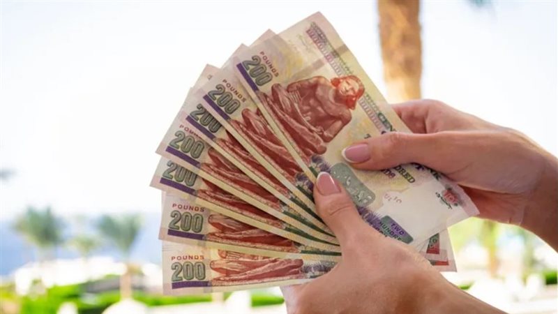 منحة العمالة غير