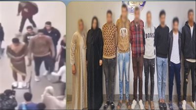 واقعة قرية ميت عاصم 