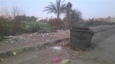 لعثور على 10 أجنّة  داخل صندوق قمامة بعيادة طبيب  