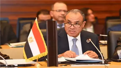 تصريحات وزير الخارجية المصري  