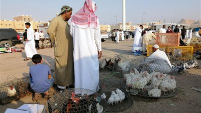 السعودية تحظر استيراد لحوم الدواجن وبيض المائدة من 40 دولة 