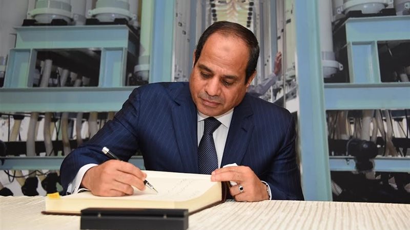 7 قرارات في الحماية