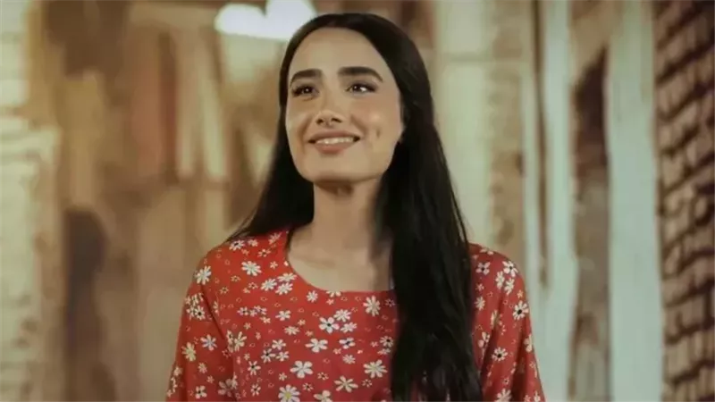 الهيئة قررت رسميًا