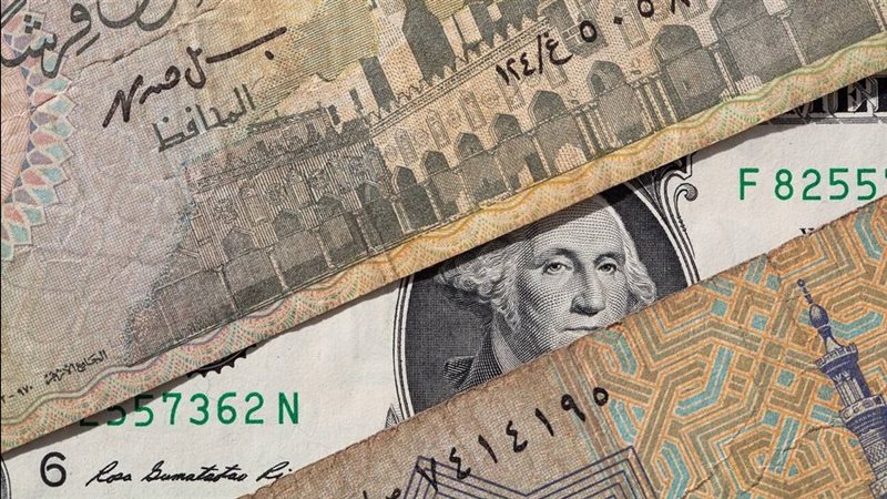 سعر الدولار اليوم
