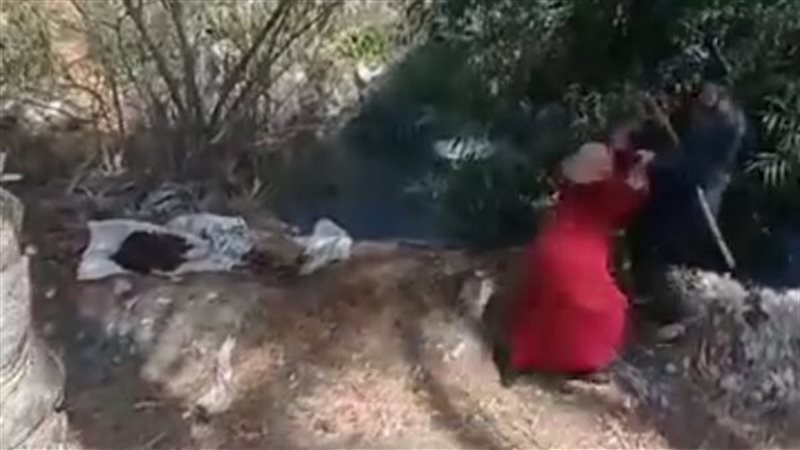 إلقاء سيدة في ترعة