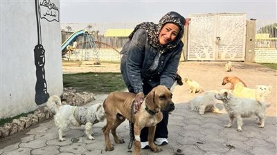 تعليق ابتسام حسبو على واقعة كلب السويس 