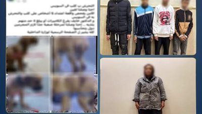 واقعة كلب السويس 