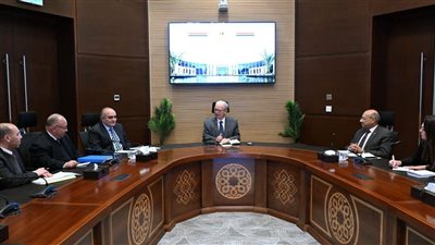 نائب رئيس مجلس الوزراء 