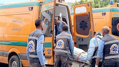 حادث عربة كارو بدمياط 