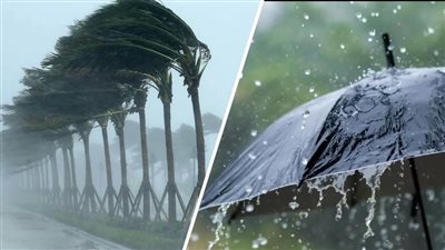 حالة الطقس غدا غير مستقرة في مصر 