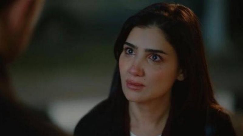 مسلسل الست موناليزا الحلقة 15