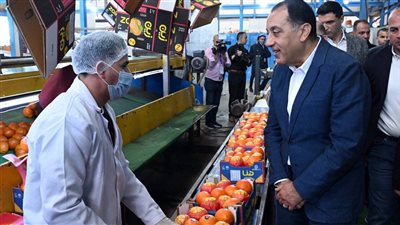 رئيس الحكومة 